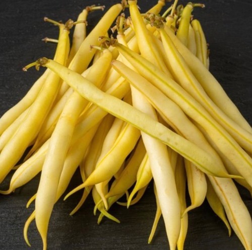 Top notch golden wax - top,